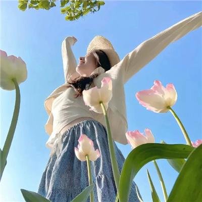 七合圣石战记